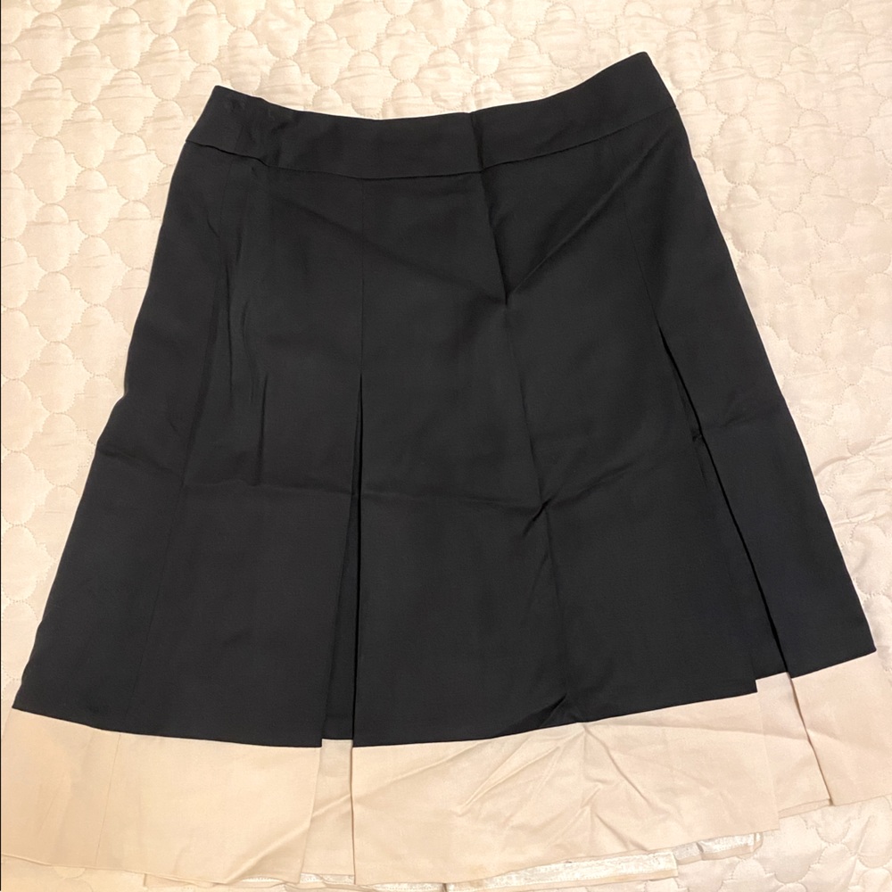 Ann Taylor Skirt